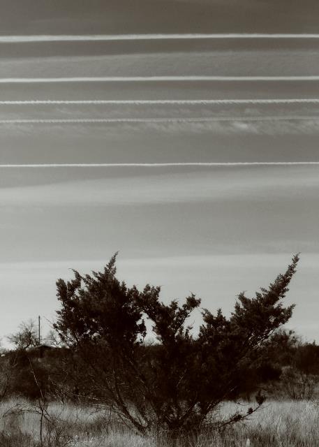 Contrails
