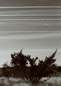 Contrails