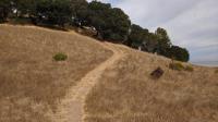 Chicken Coop Hill