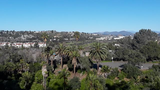 View from the top