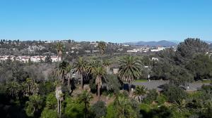 View from the top