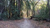 Trail View