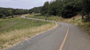 Trail View