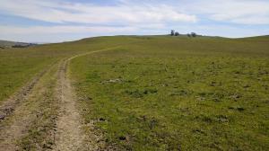 Trail View
