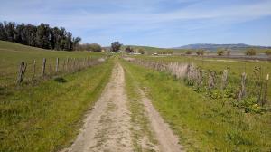 Farm Buildings
