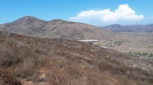 Mt. San Miguel