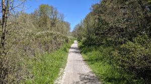 No More Pavement