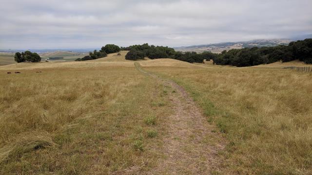 Downhill