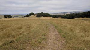 Downhill
