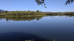 Lake Wilson