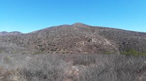 Horseshoe Peak