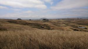 Cougar Mountain