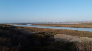 Wildlife Refuge