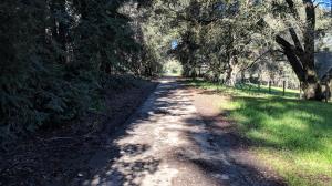 Trail View
