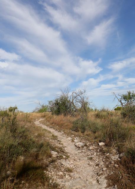 A Portion of the Lanky Lackey Trail