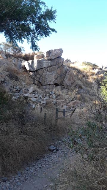 View of the trail