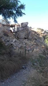 View of the trail