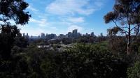 View of downtown