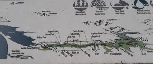 Overview Map