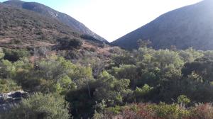 Mission Gorge