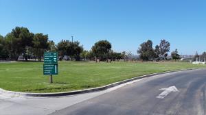 View of the park