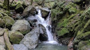 Seasonal Waterfall