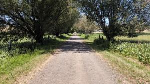 Causeway