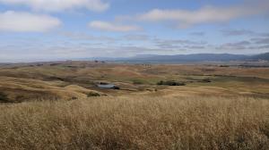 Mount Tam