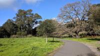 A view of the trail along the main paved loop.