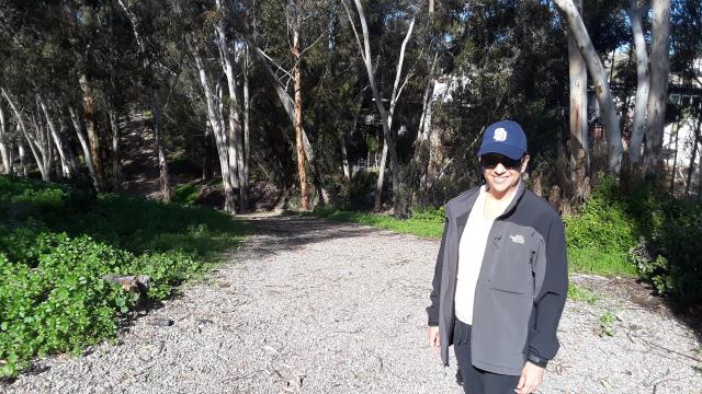 View of the trail