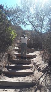 Another View of the Trail