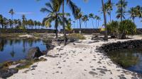 Fish Ponds