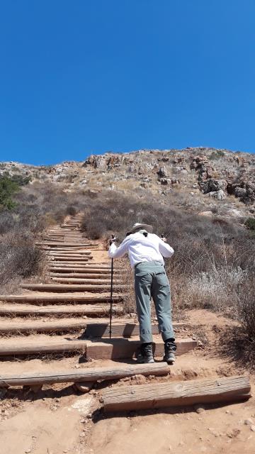 Going Up