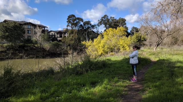 Coppertone on the trail