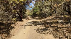 Vineyard Trail