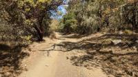 Vineyard Trail
