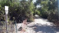 Trailhead