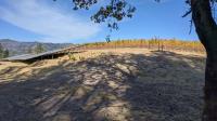 Vineyard