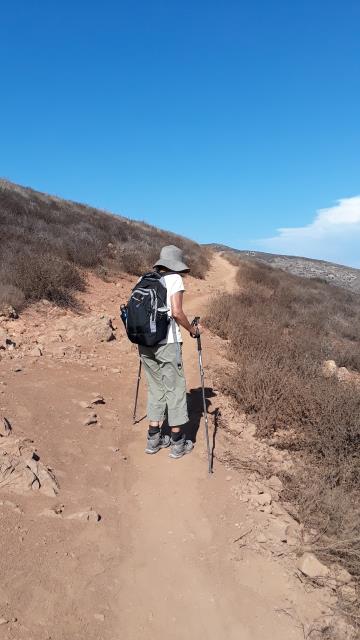 View of the trail