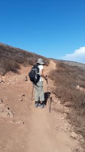 View of the trail
