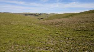 Rolling Hills