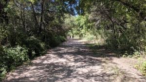 Trail View