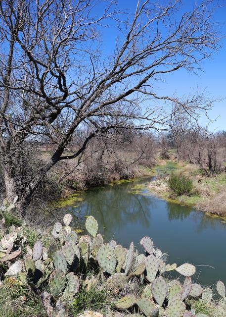 Scenic Loop View