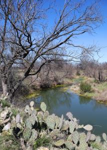 Scenic Loop View