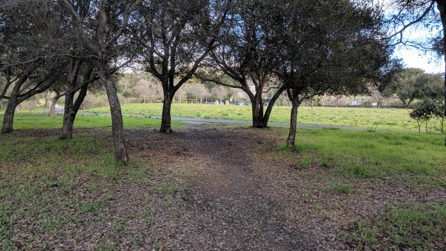 Trail View