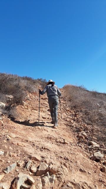 View Of The Trail