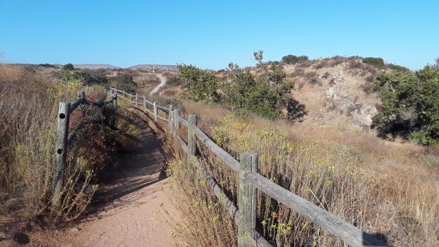 Another View of the Trail