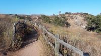 Another View of the Trail
