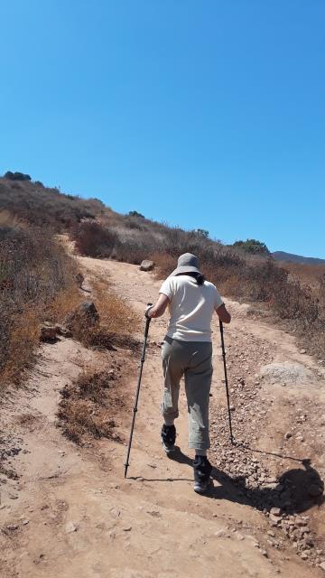 View of the trail