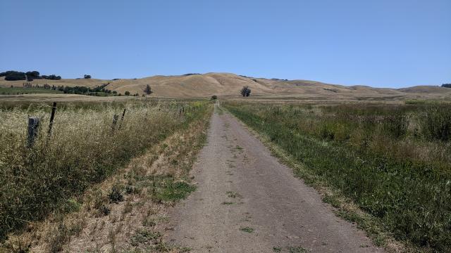 Towards the ridge